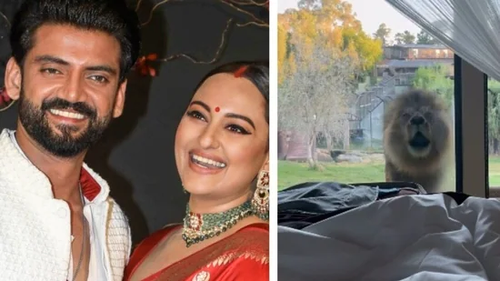 शेर की दहाड़ बनी अलार्म: सोनाक्षी सिन्हा और ज़हीर इकबाल की ऑस्ट्रेलिया यात्रा का अनोखा अनुभव