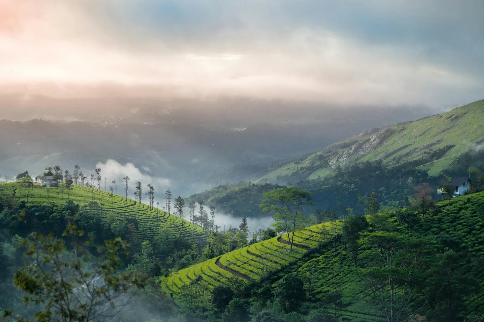 South India Road Trip Itinerary: From Beaches to Hills
